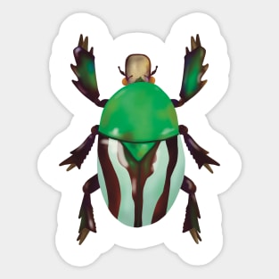 Jewel Beetle Sticker